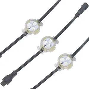 DC12V IP68 RGB Permanent Christmas Light LED Point Light